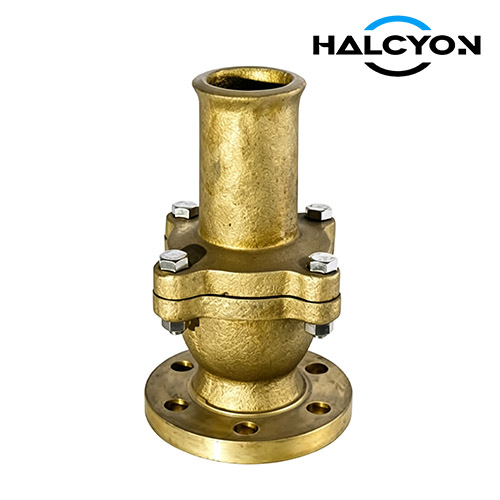Suction Check Valve